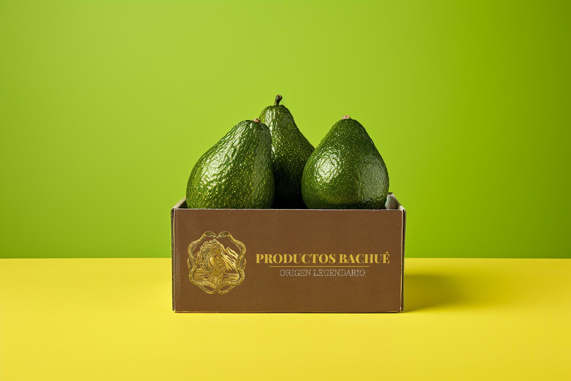 Aguacate Papelillo
